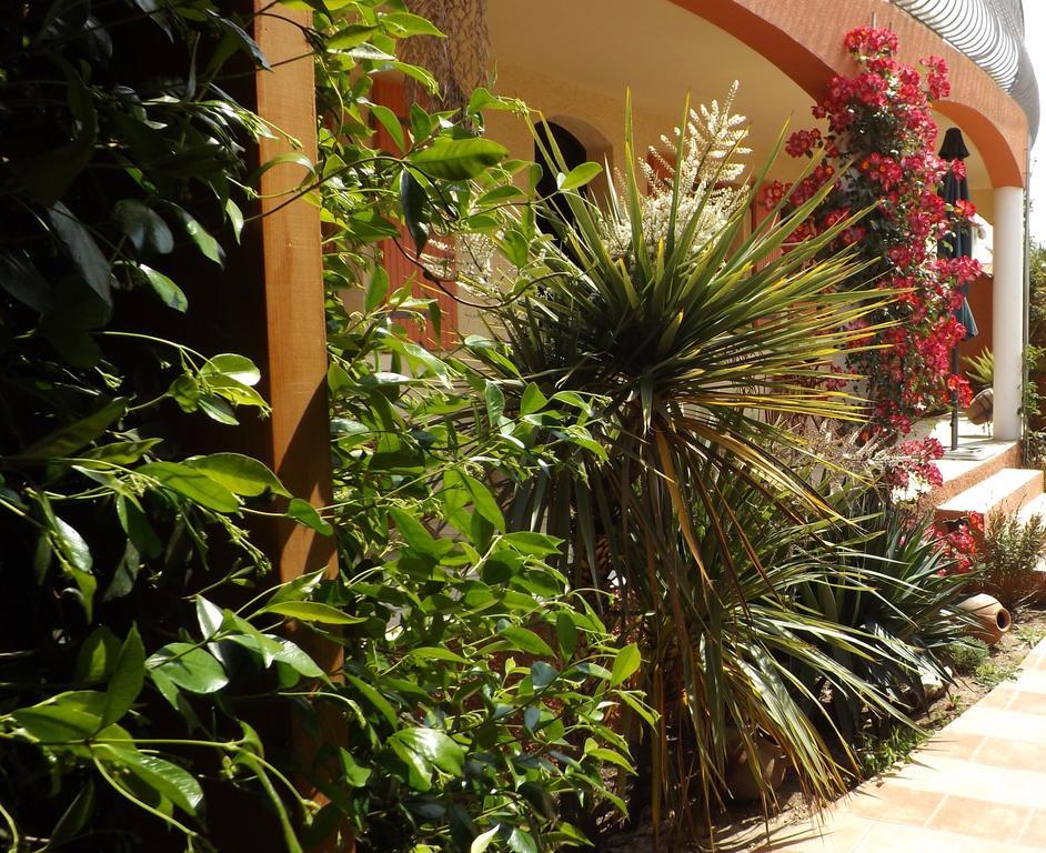 La Gentoliere Bed & Breakfast Pollestres Exterior photo